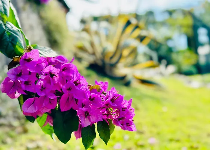 Lägenhet Diamante *