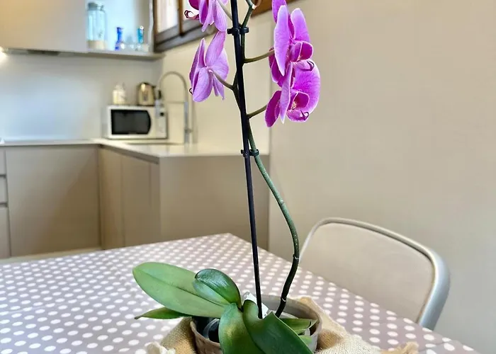 Apartamento Diamante