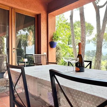 Diamante 메체그라