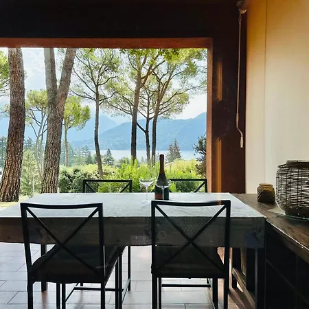 Diamante 메체그라