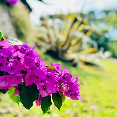 아파트 Diamante *